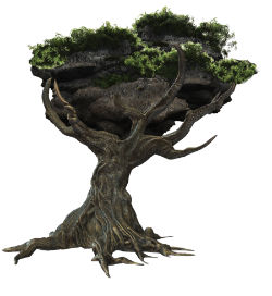 Tree2