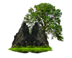 Tree3